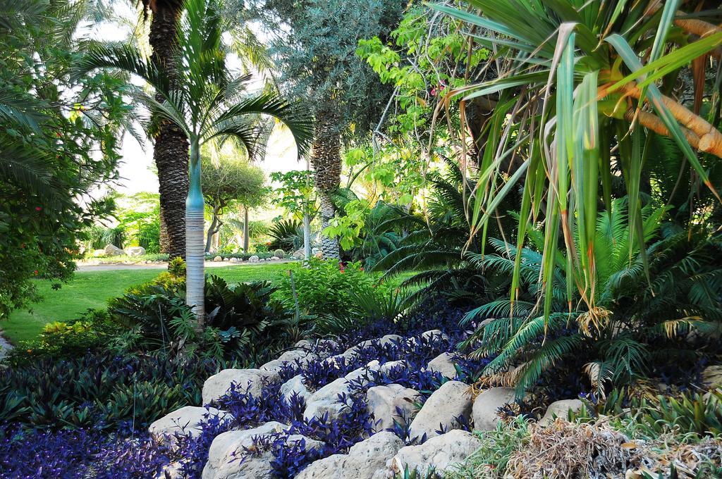Superior Double or Twin Room Garden View,697164102:JPEG